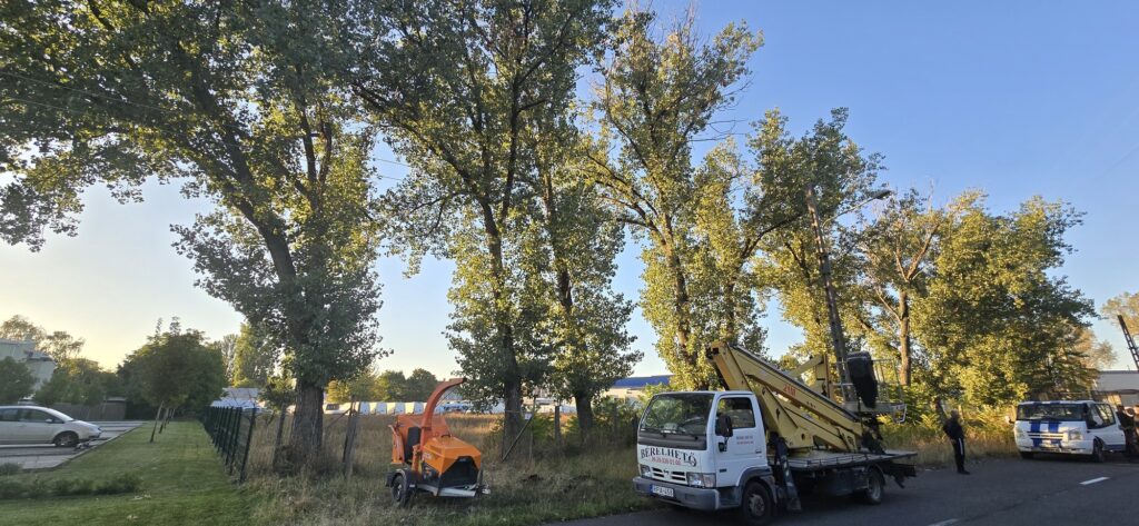 Őszi fák és darus teherautó favágáshoz