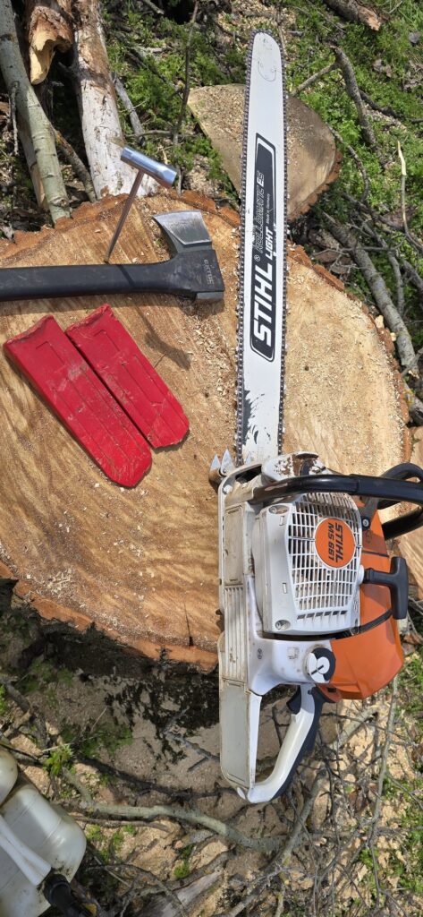 STIHL láncfűrész egy friss rönkön