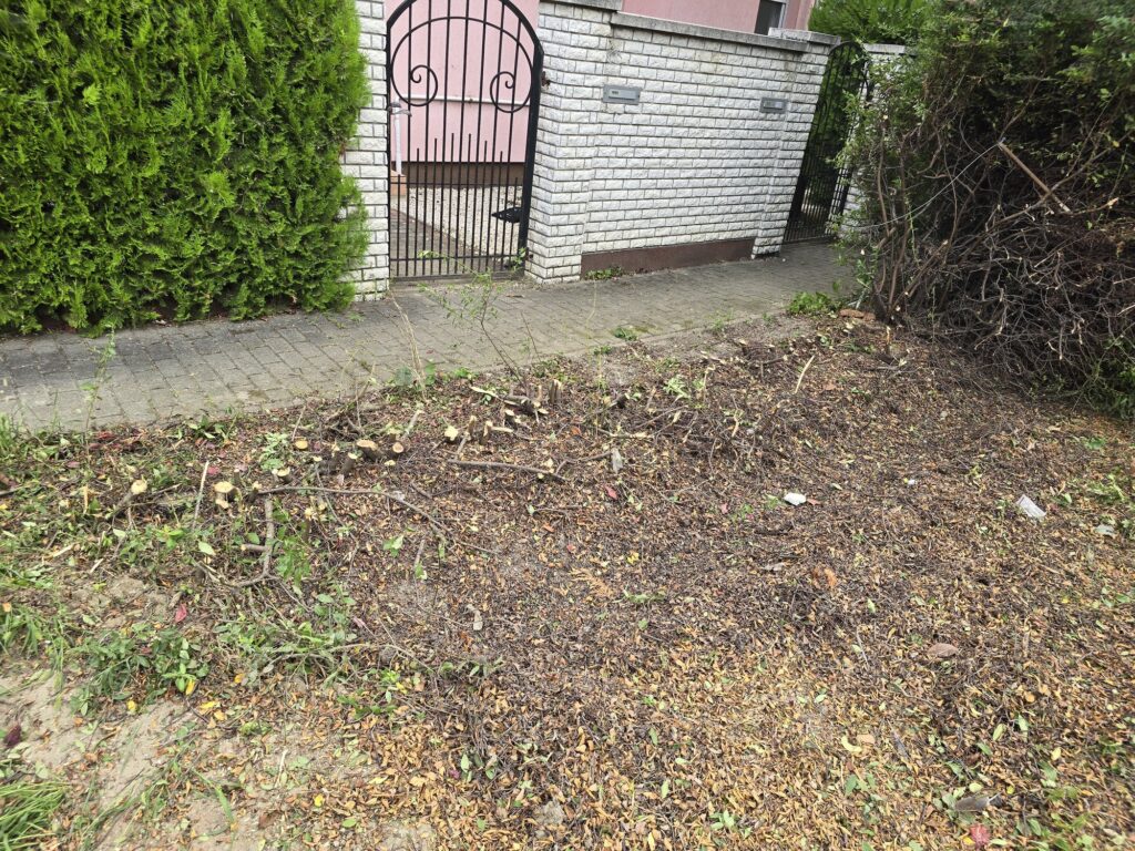 Elburjánzott sövény és törmelék a kapubejárónál a takarítás előtt