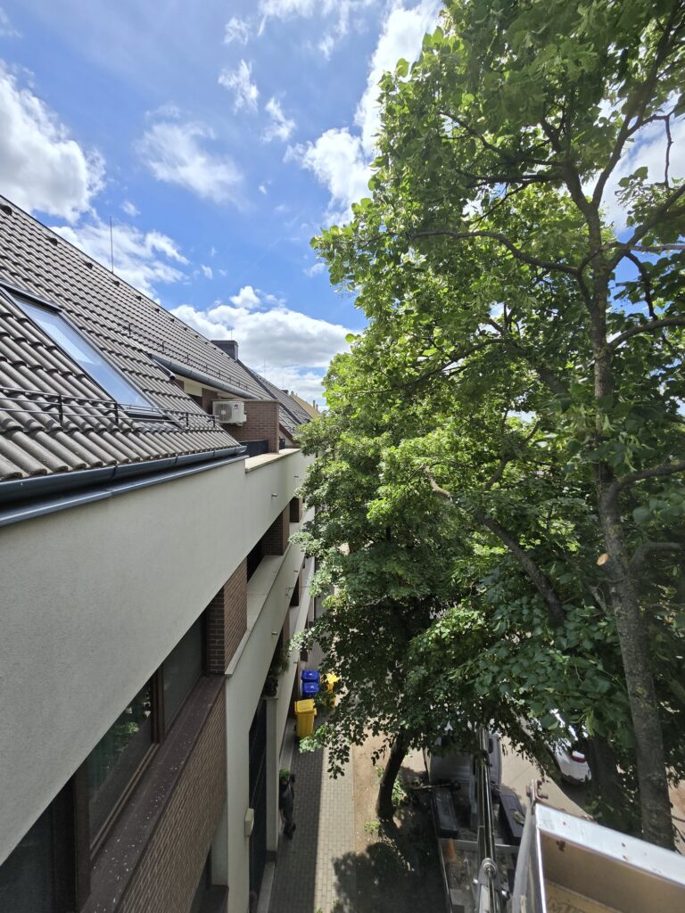 Treemen munkafotó