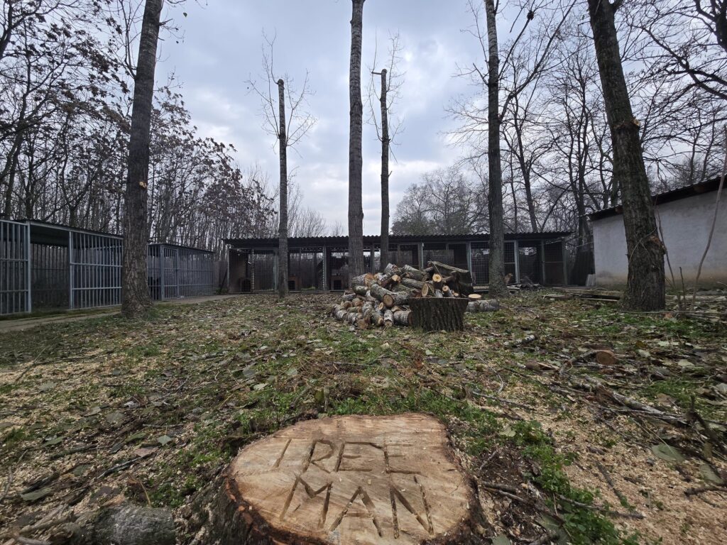 Treemen munkafotó
