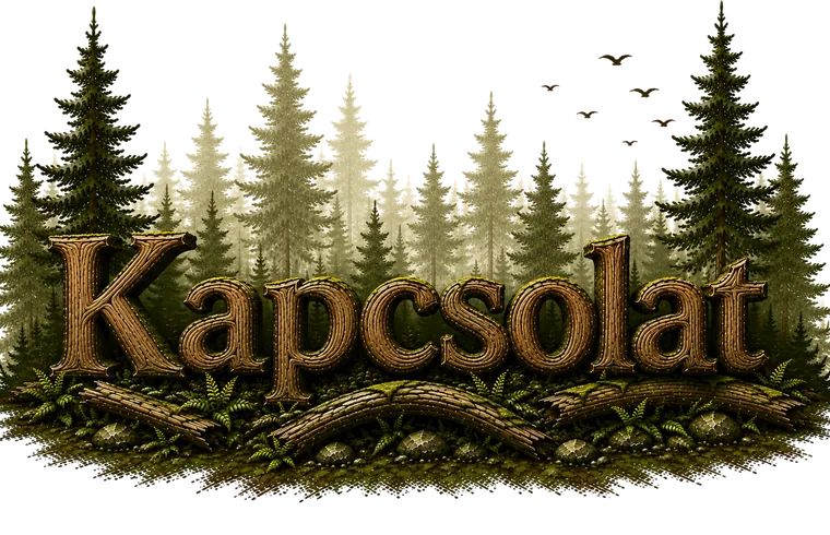 Kapcsolat