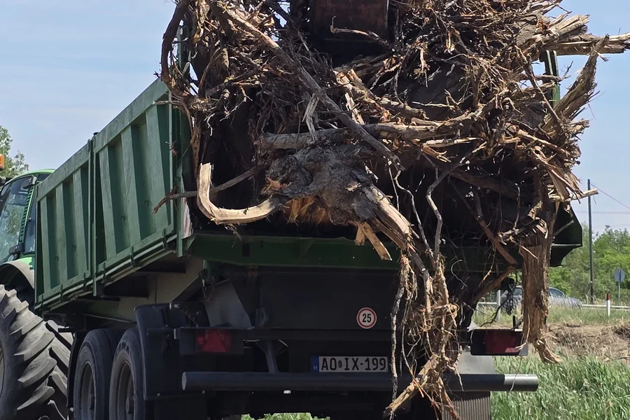 Kiemelt tuskókkal megrakott szállító pótkocsi